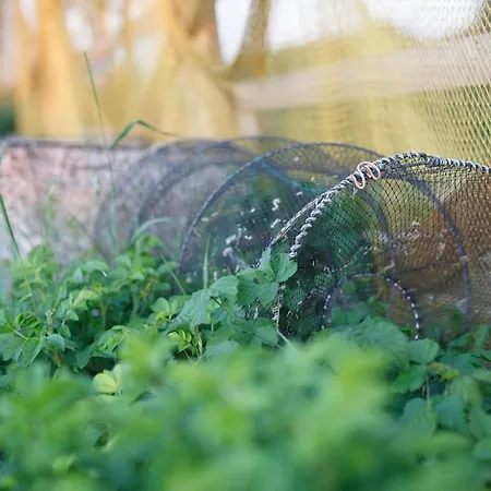 Apartment Suureliiva Rannamaja *