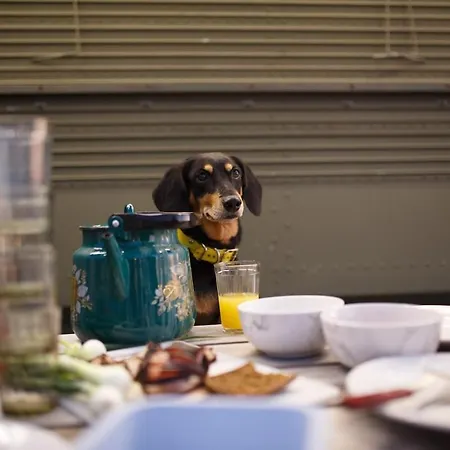 Suureliiva Rannamaja Apartment