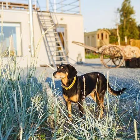 Suureliiva Rannamaja *