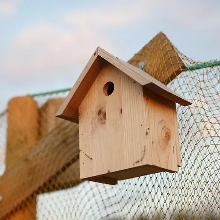 Apartment Suureliiva Rannamaja Vainupea