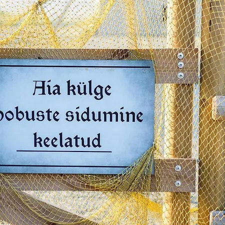 Suureliiva Rannamaja * Vainupea