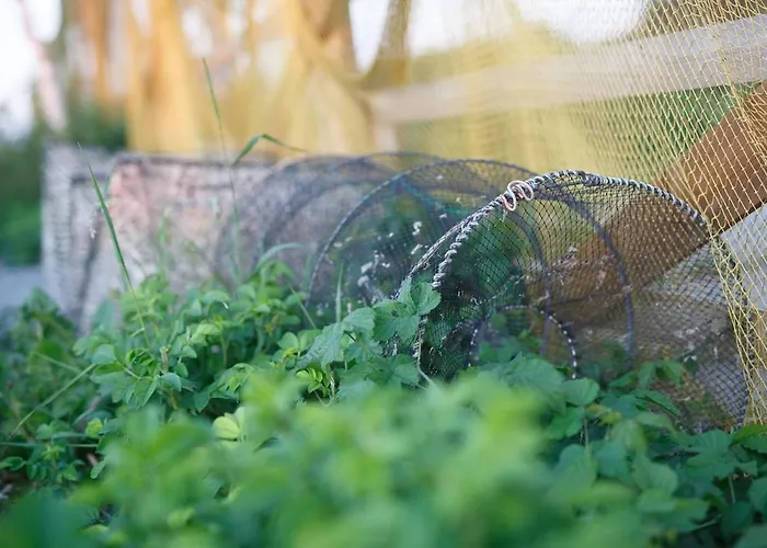 Apartment Suureliiva Rannamaja *