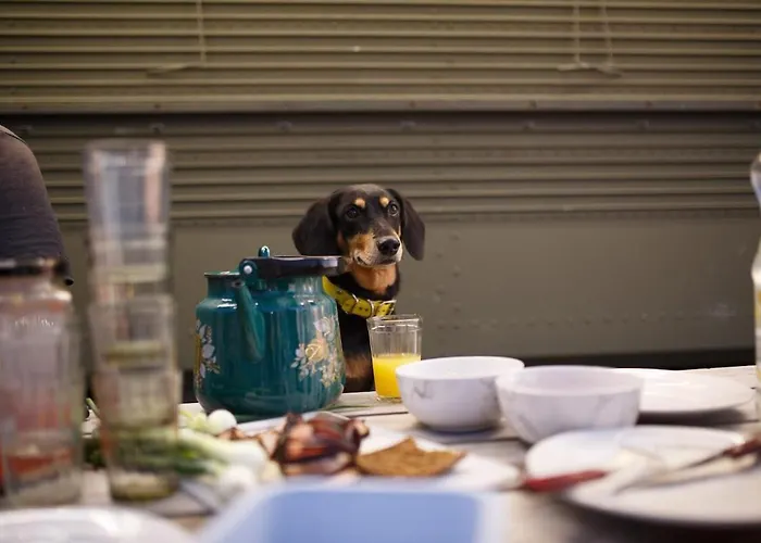 Suureliiva Rannamaja דירה