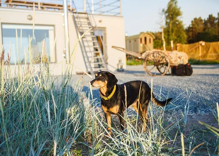 Suureliiva Rannamaja *