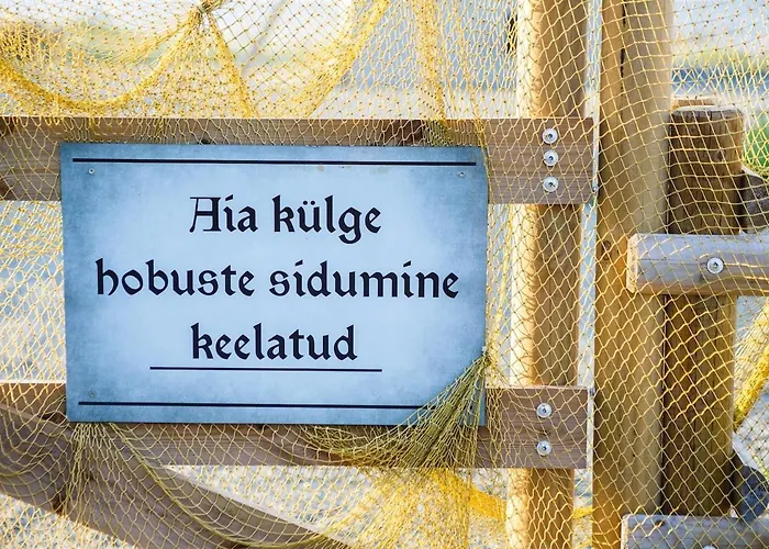 Suureliiva Rannamaja * Vainupea